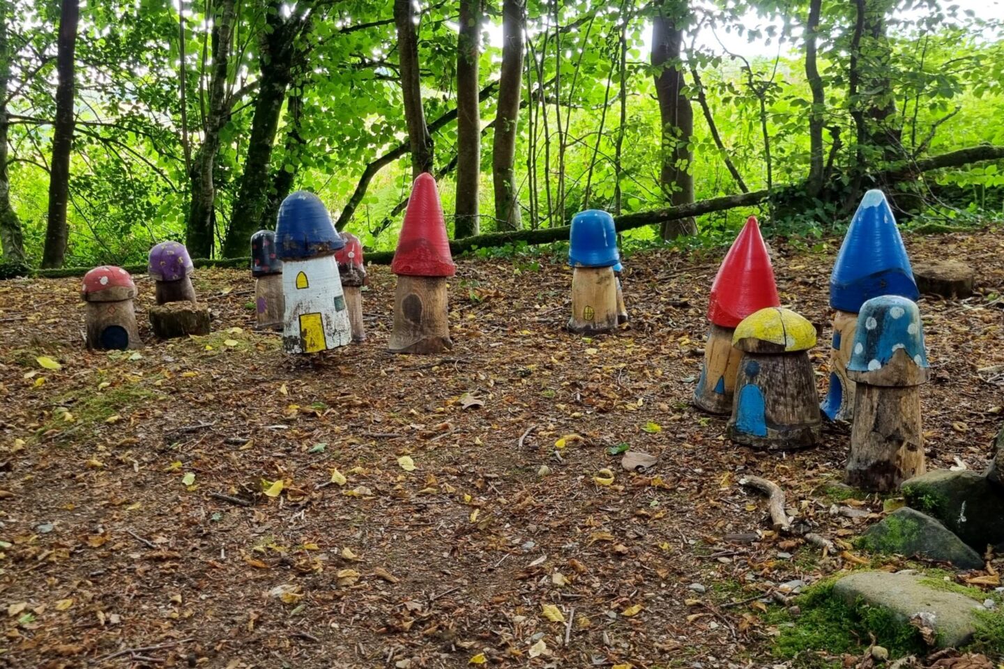 Fairy woods at the National Botanical Gardens, Wales