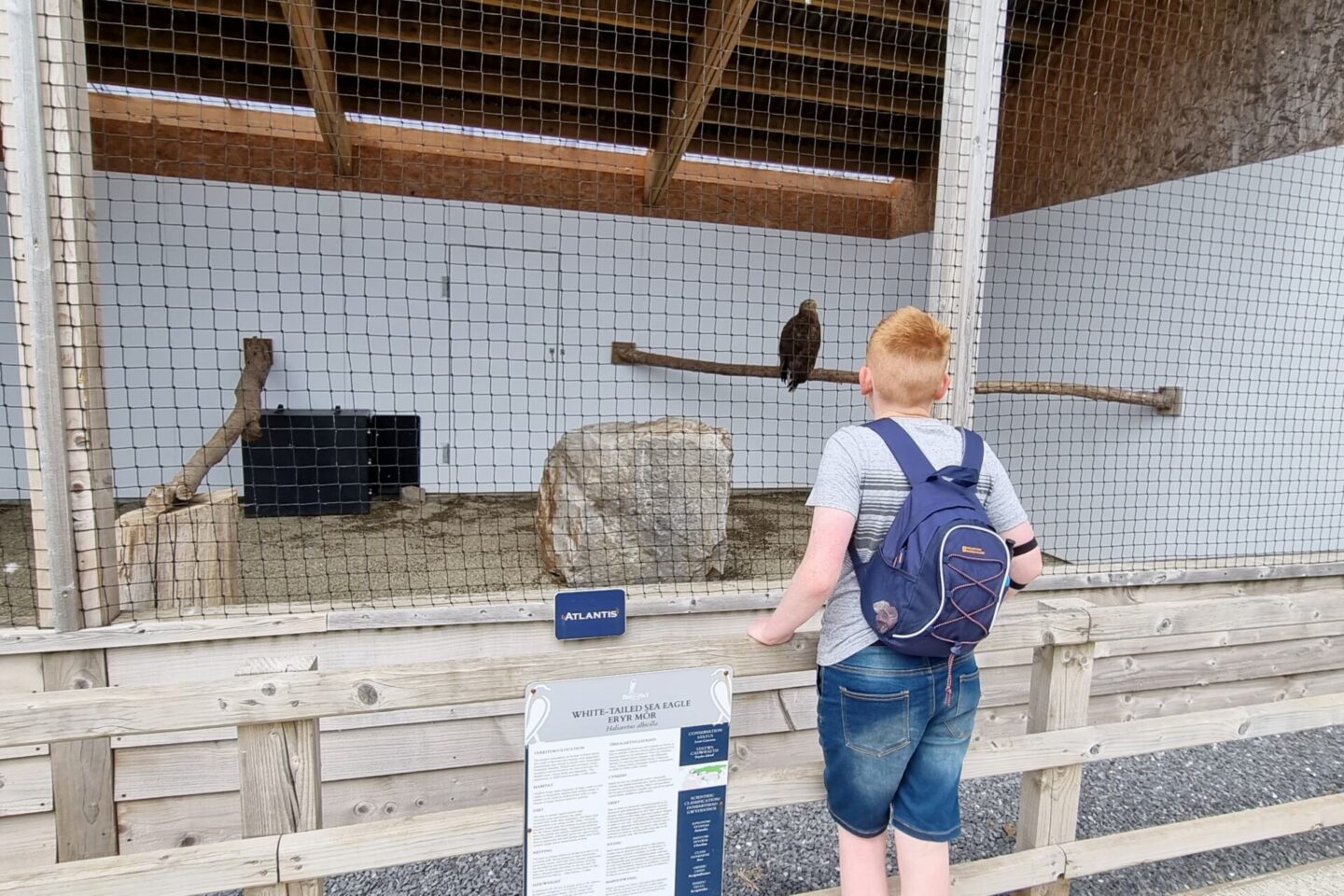 Checking out the birds at the National Botanic Gardens