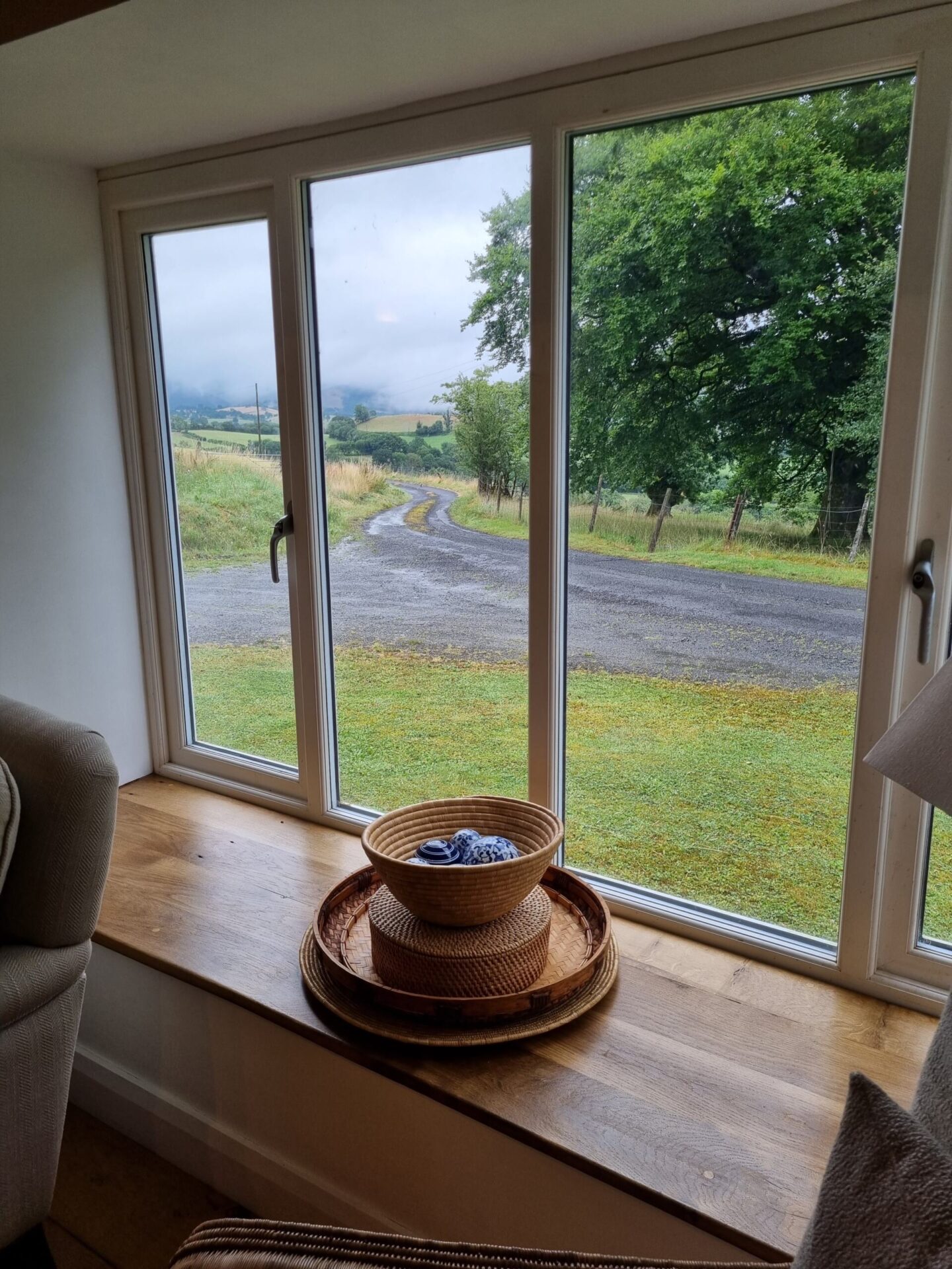 view from the living room window
