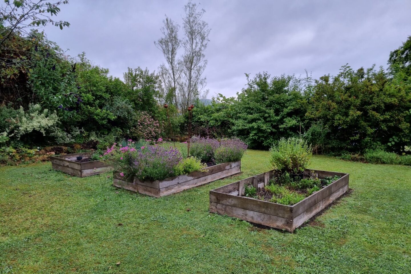 Cwcw barn private gardens