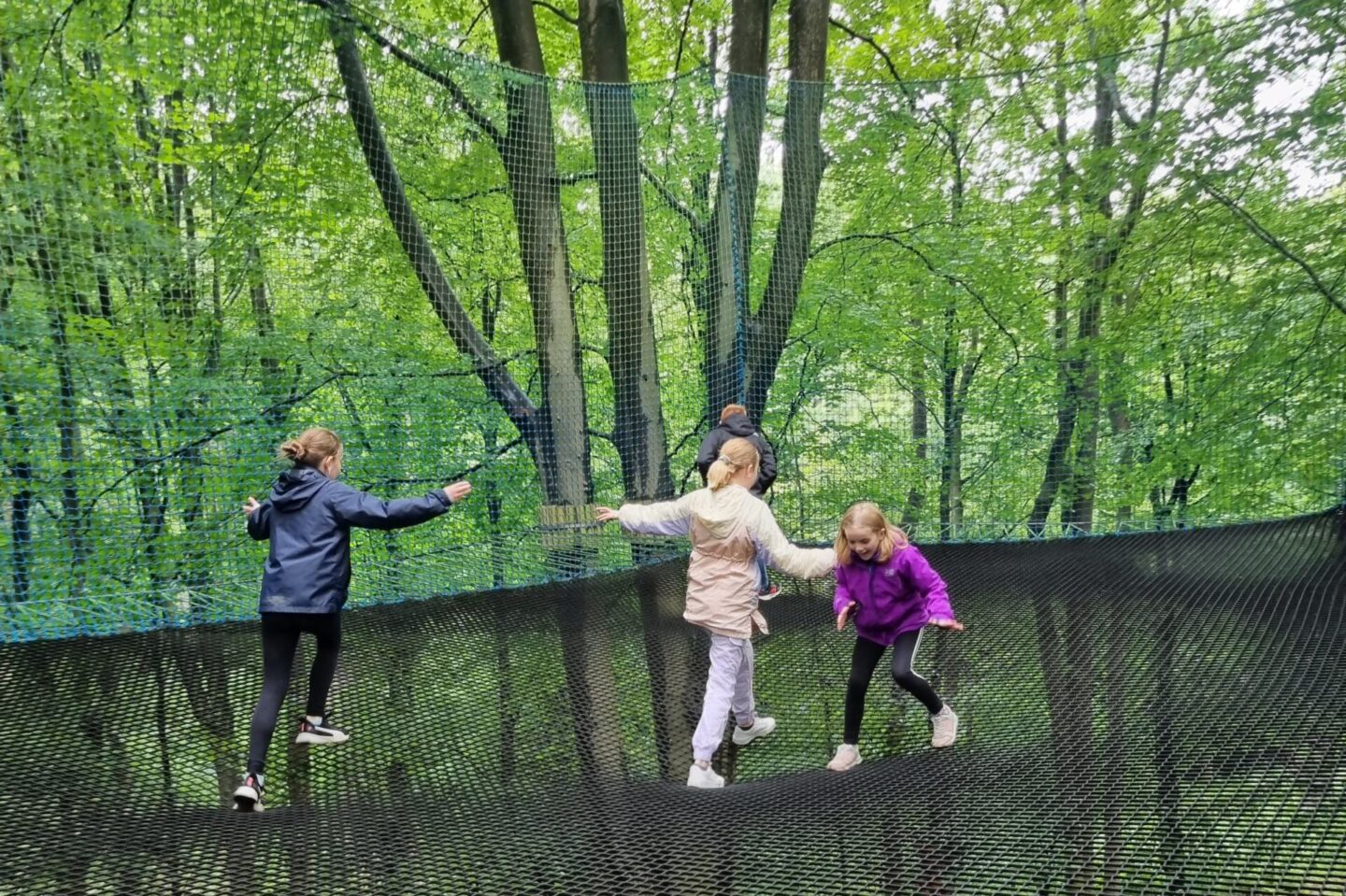 Outdoor woodland fun at Treetop nets, manchester