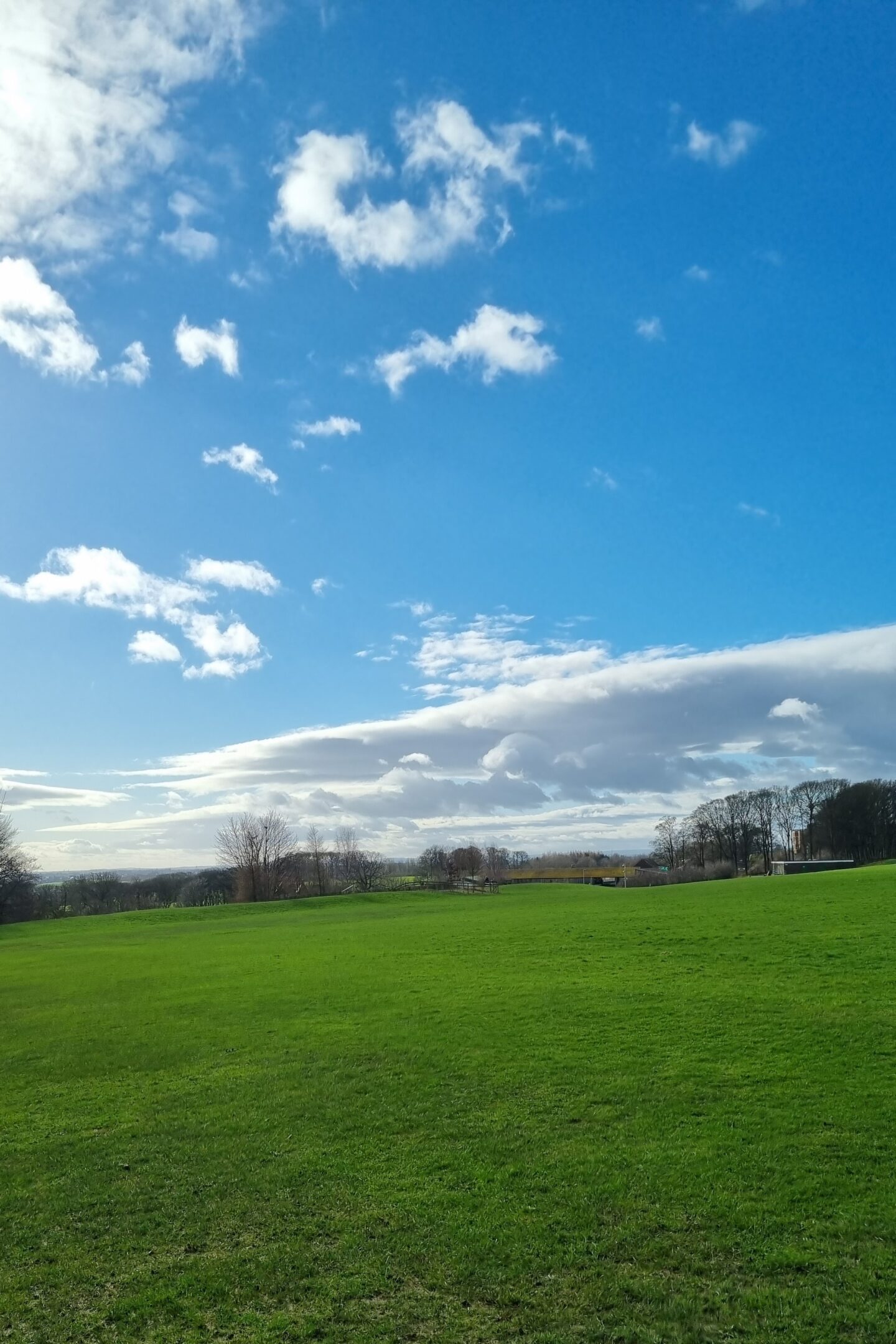 Temple Newsam blue skies and green spaces