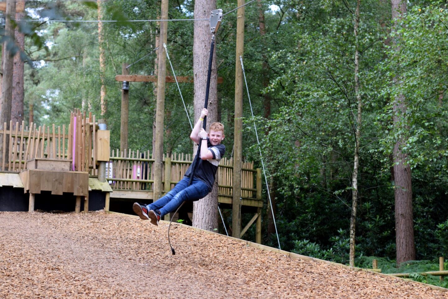 Ziplines at BeWILDerwood