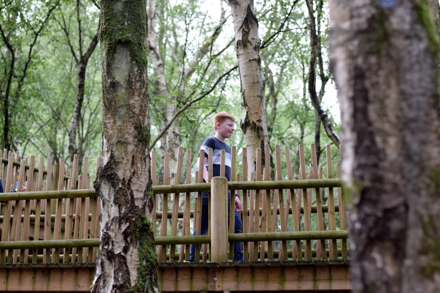 Sky Maze at BeWILDerwood