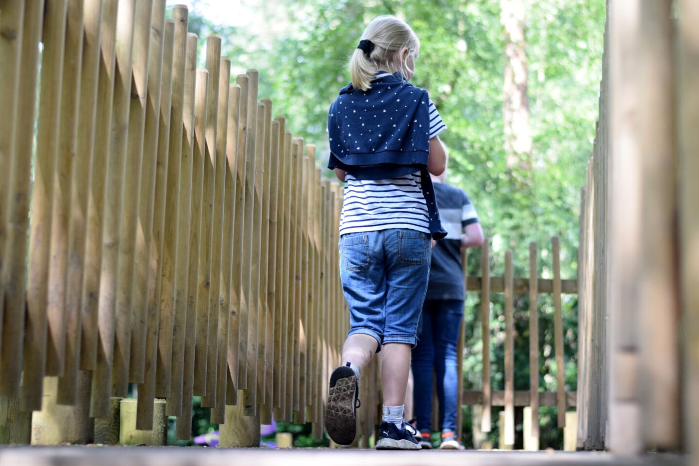BeWILDerwood Maze