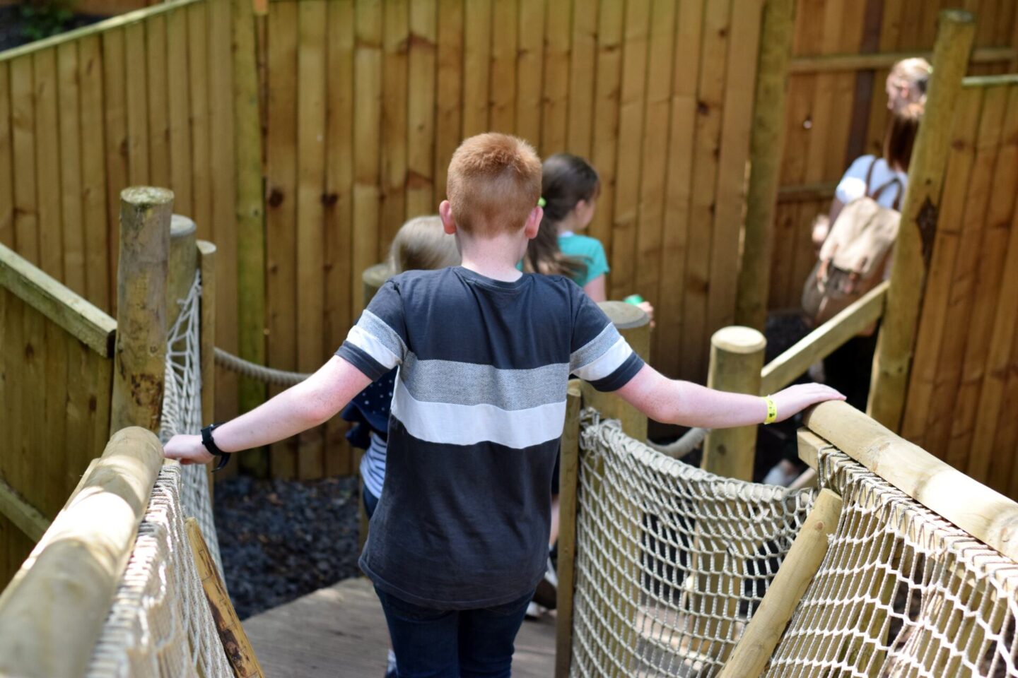 Trying to find a way out of the maze