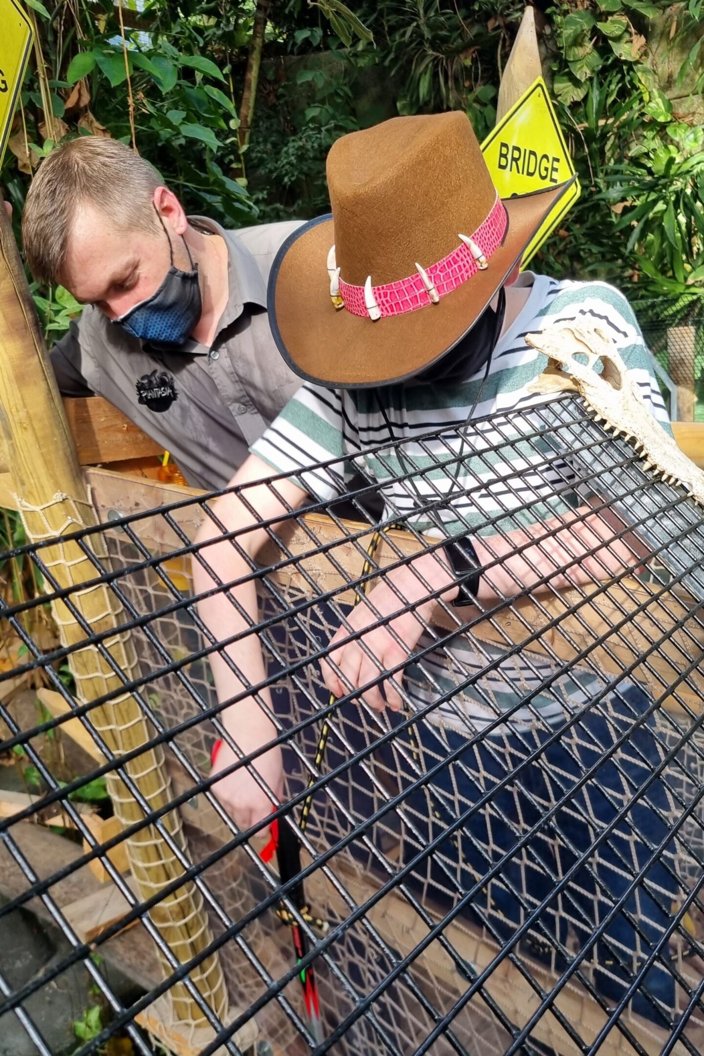 Crocodile feeding experience at Plantasia