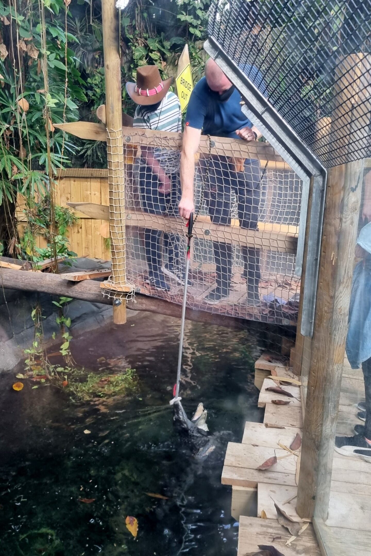 Feeding the crocodiles at Plantasia