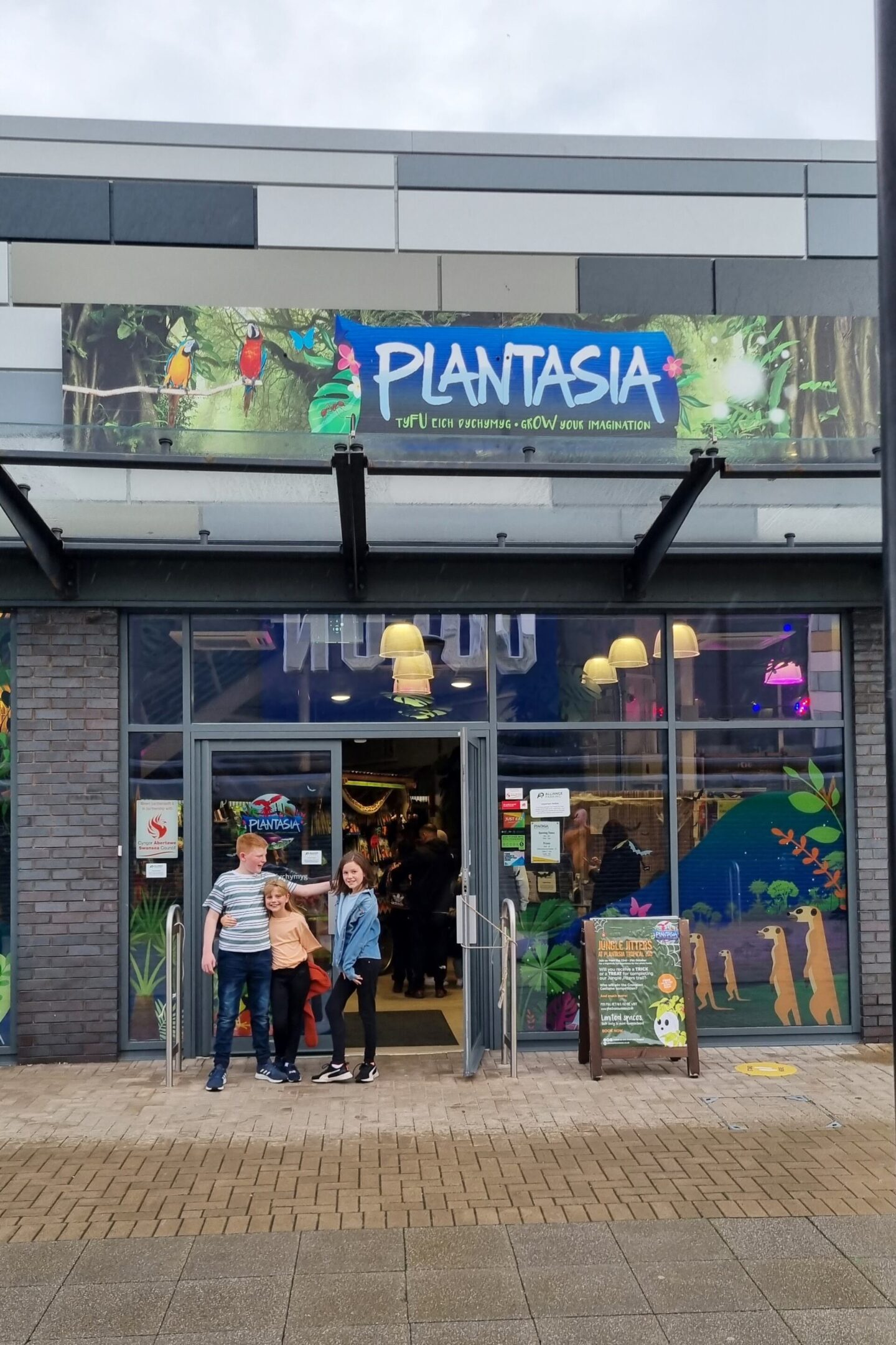 Plantasia Swansea - FAQs