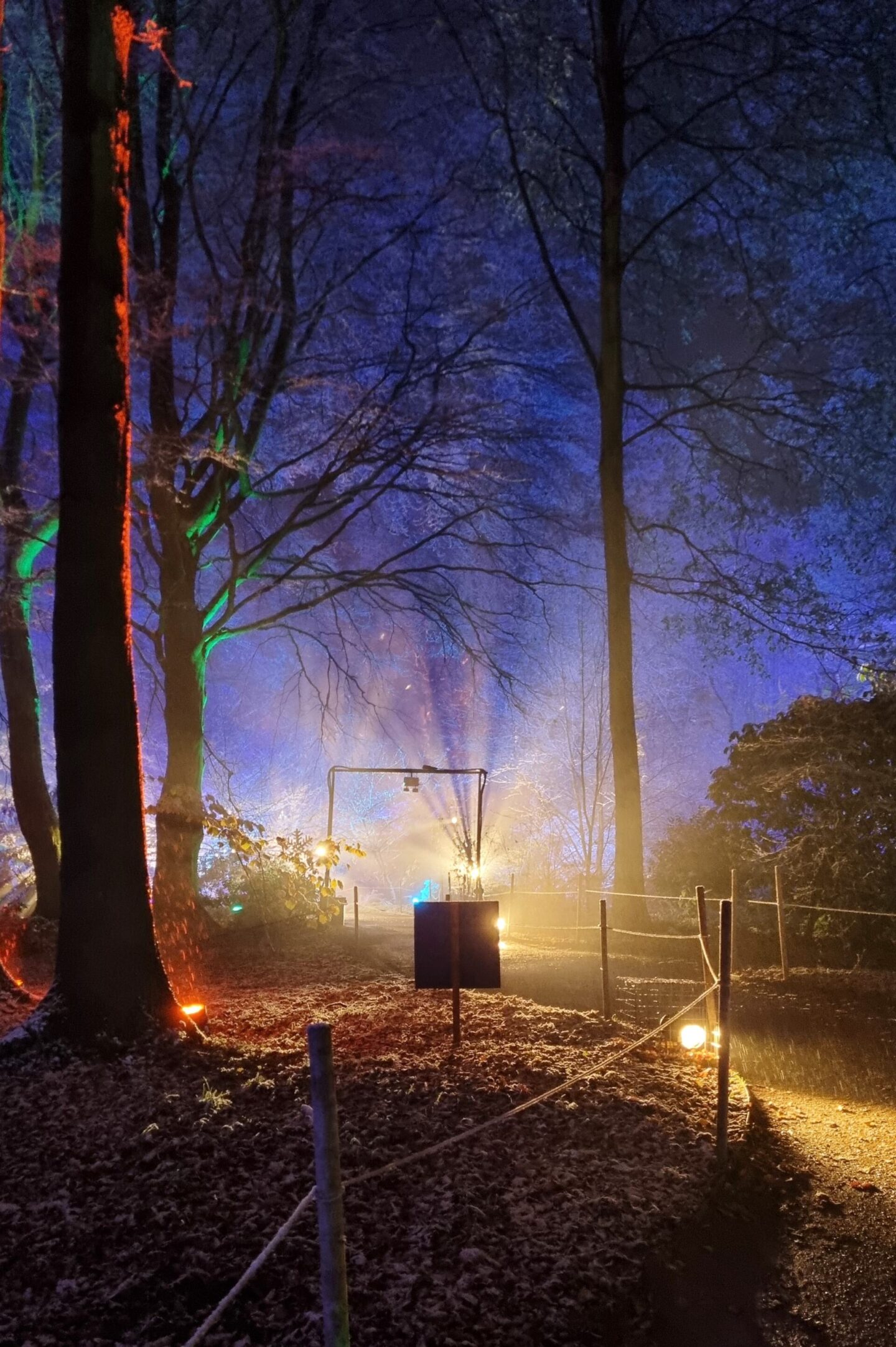 Beautifully lit woodland for the Christmas at Dunham Massey light trail