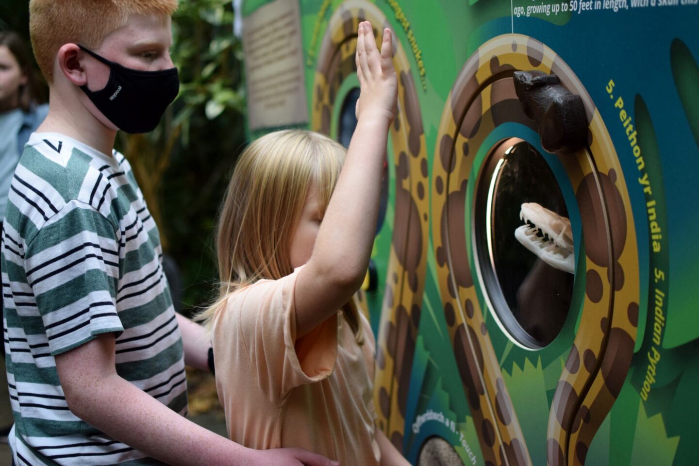 Interactive rainforest themed activities to encourage learning