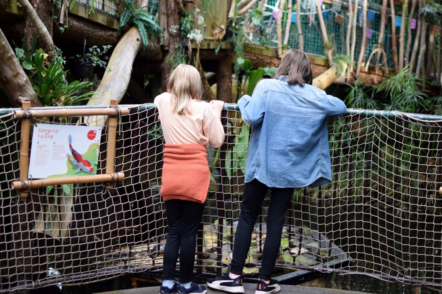 Watching the fish and turtles at Plantasia