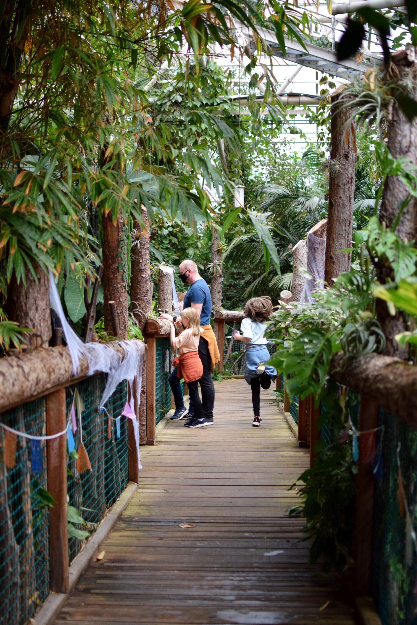 Tips for visiting Plantasia Swansea