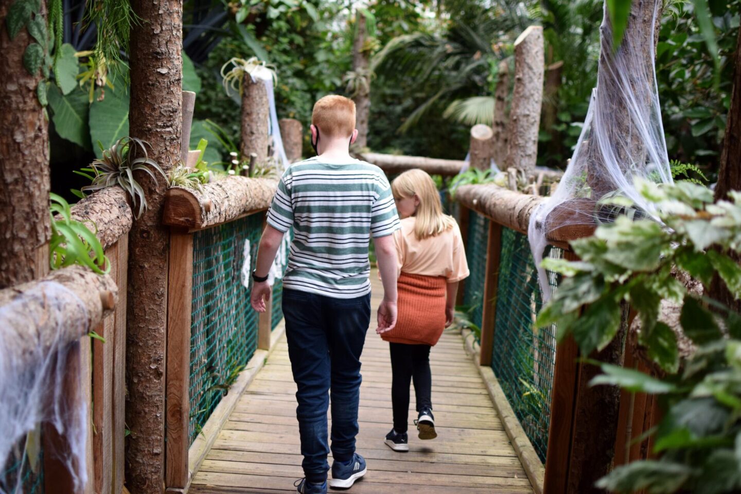 Explore Plantasia and walk right through the rainforest