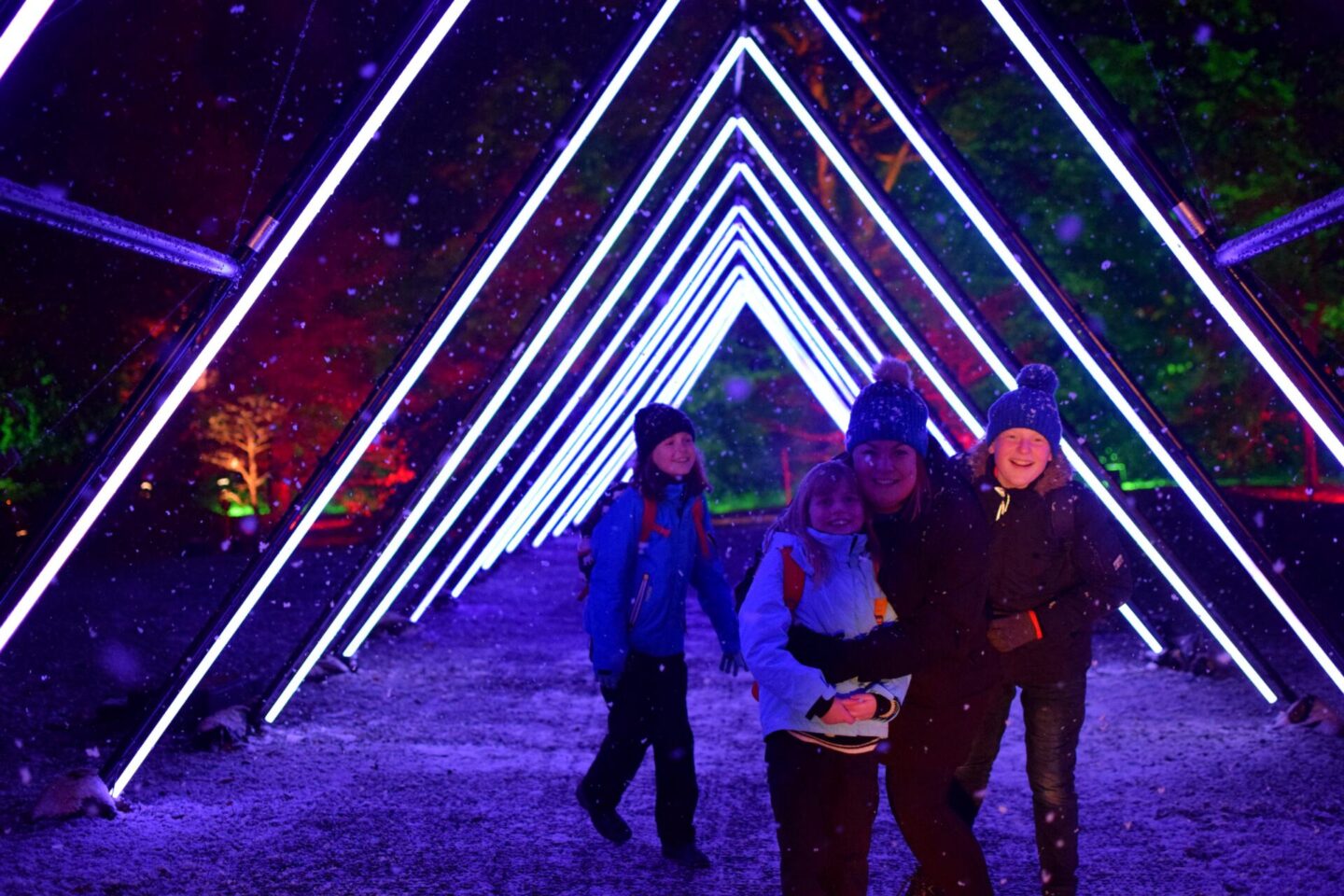 Light tunnels at Dunham Massey
