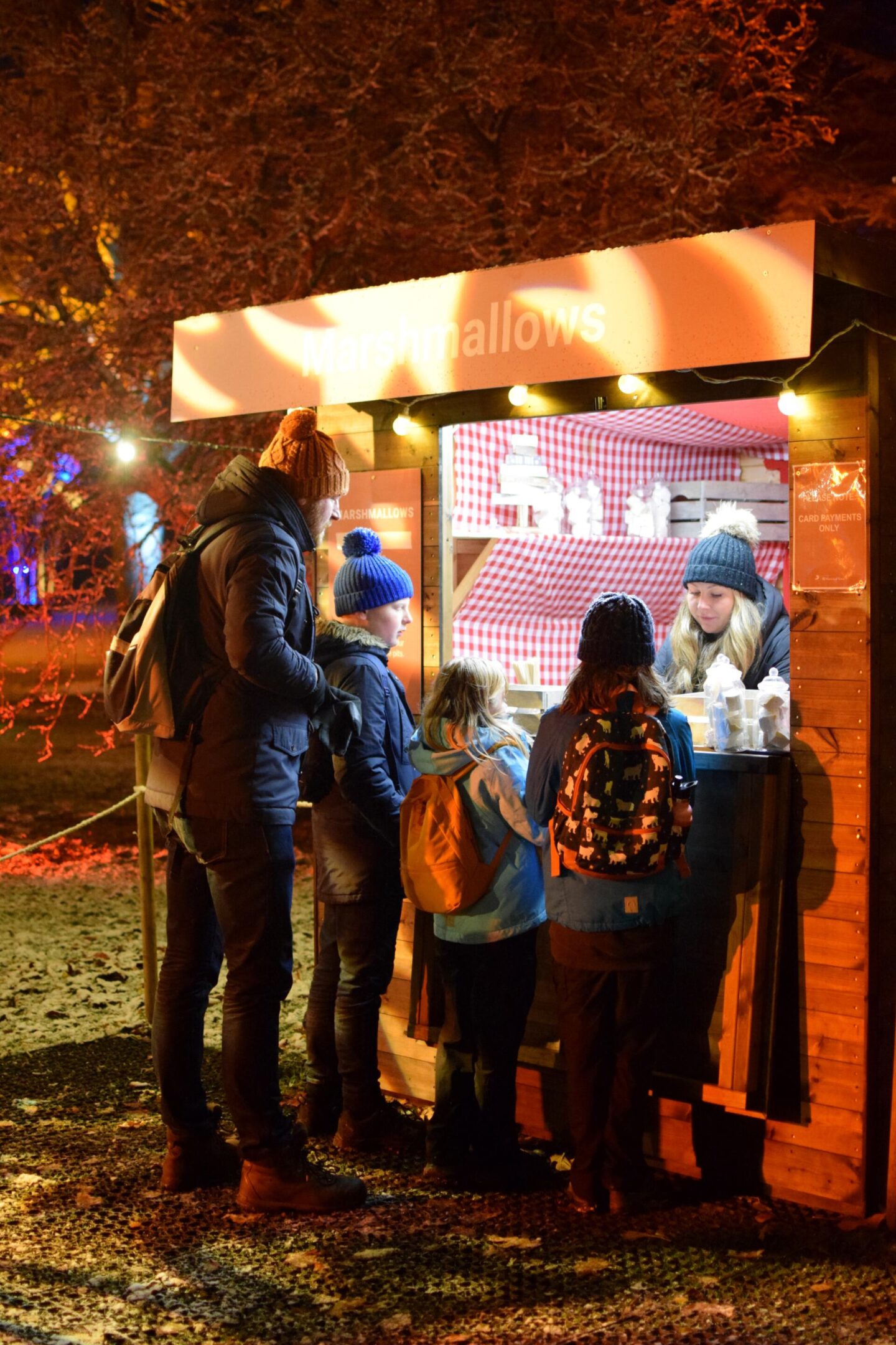 Marshmallows from The Marshmallowist at Dunham Massey Christmas event