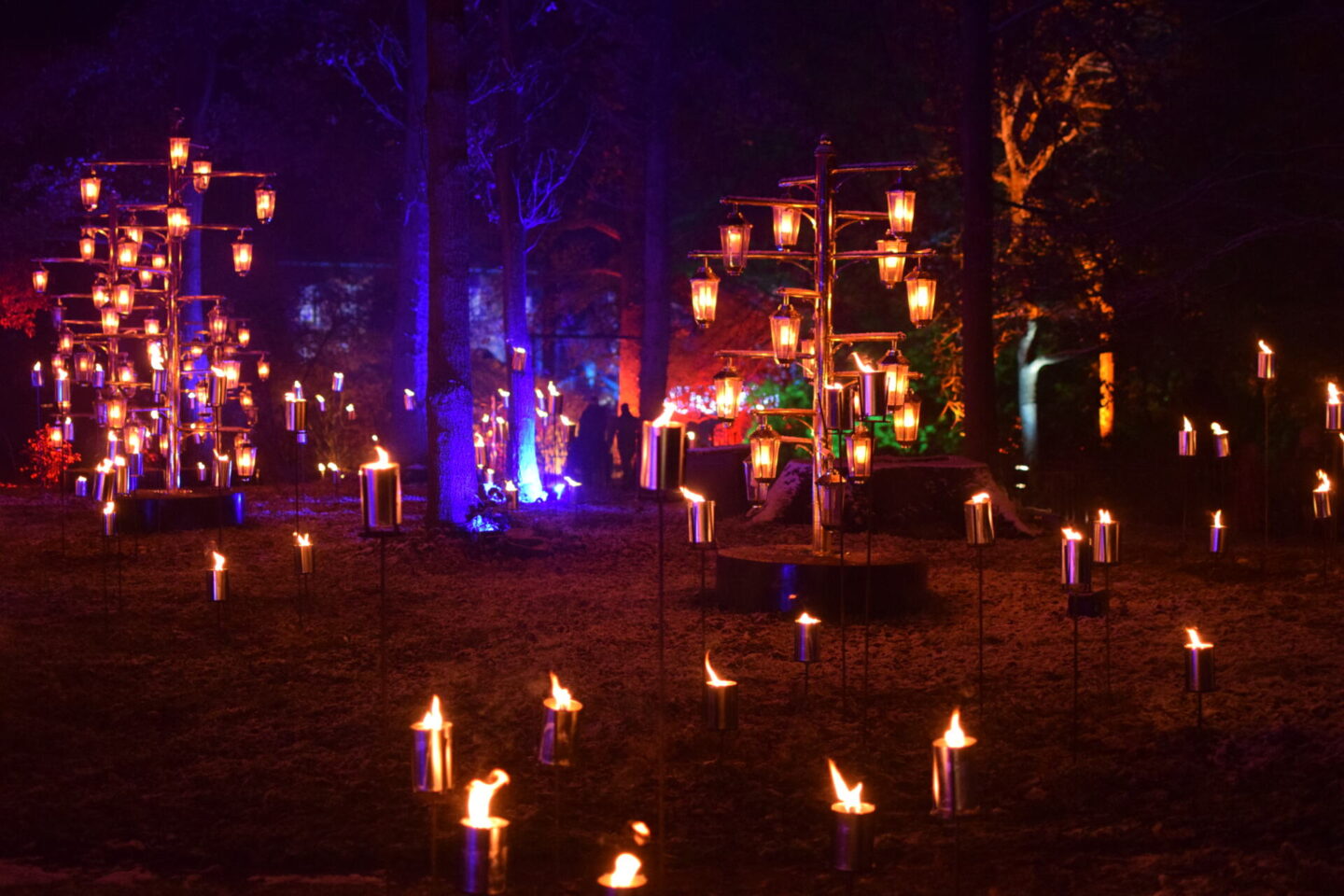 Fire garden installation - Christmas at Dunham Massey