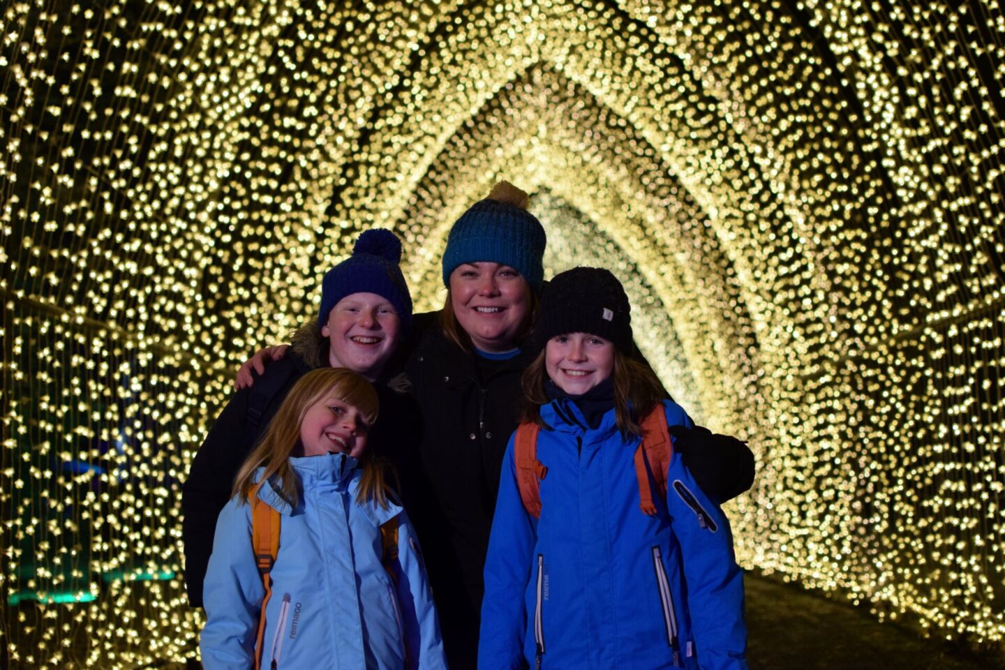 Christmas at Dunham Massey - "The Cathedral"