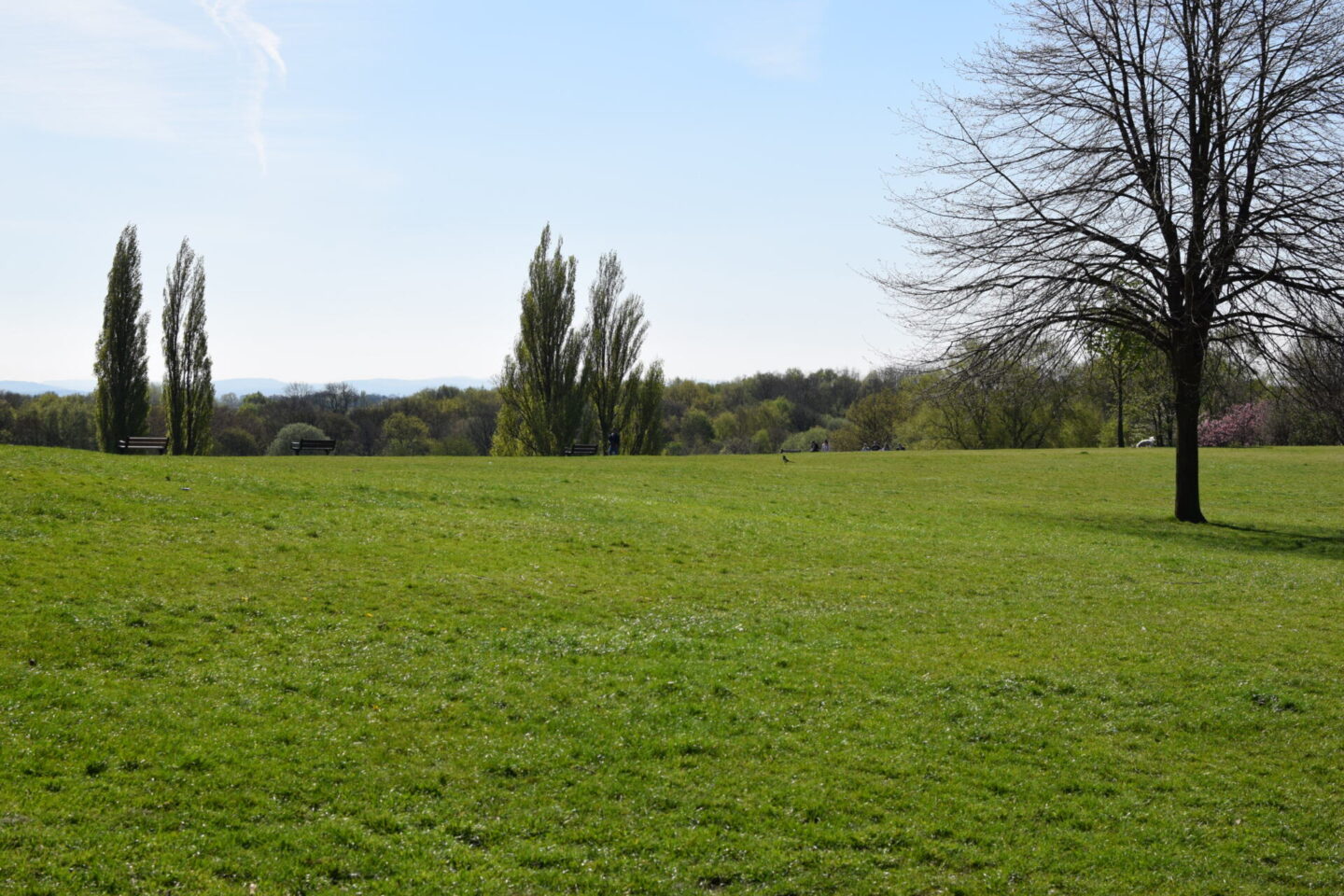 Heaton Park has plenty of huge open spaces