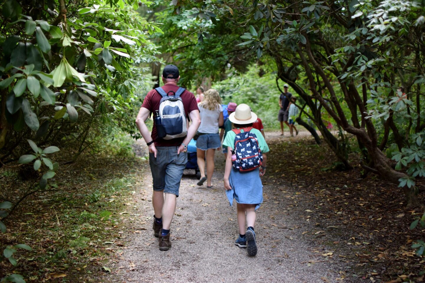 Walking through Temple Woods