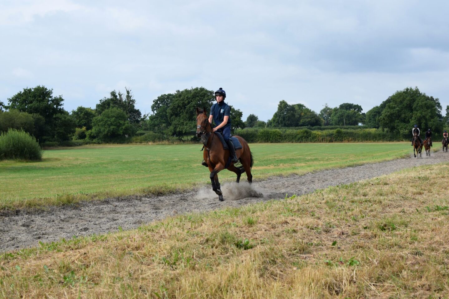 Watching the horses in the gallops at Greenall Guerriero Racing