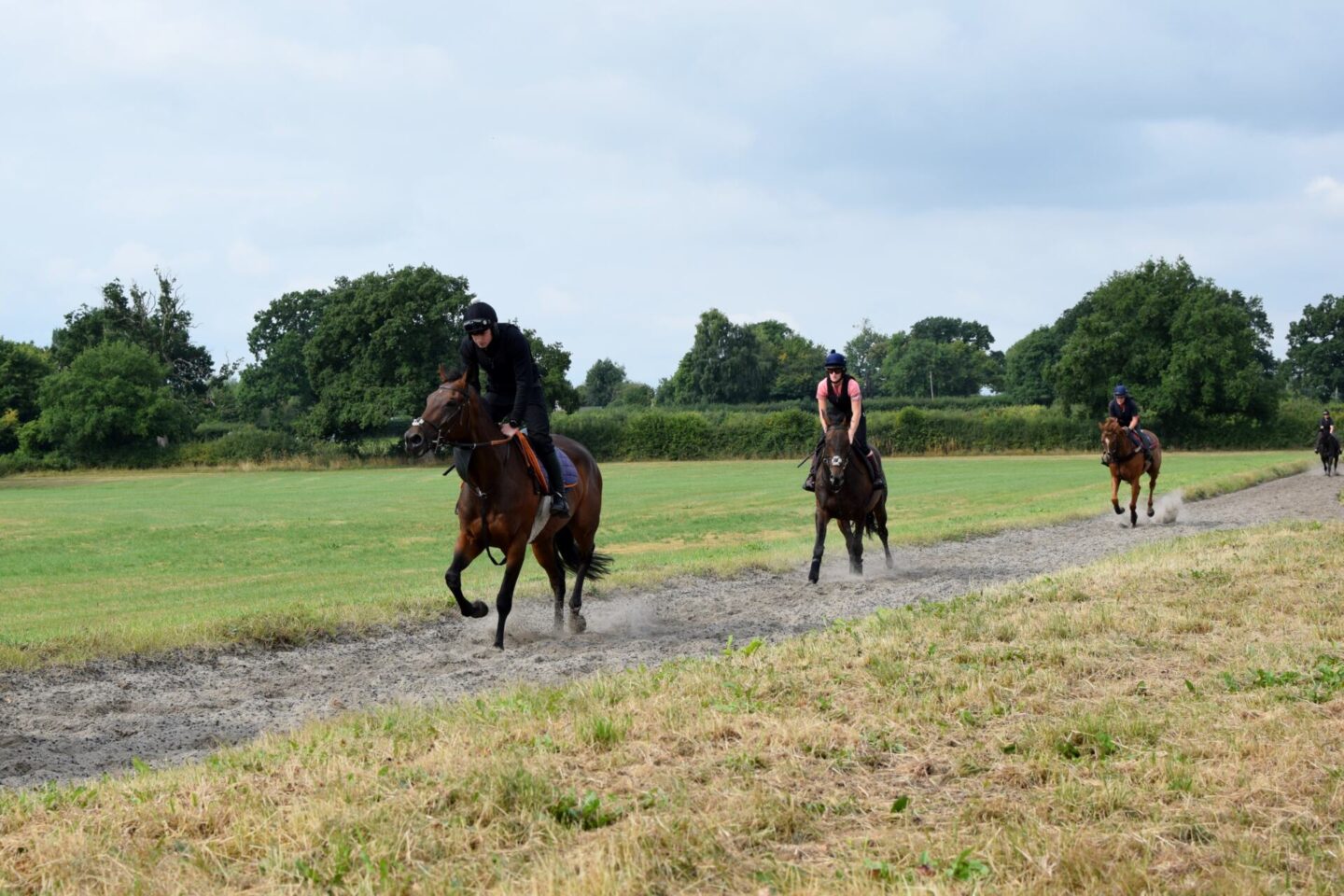 Greenall Guerriero Racing gallops