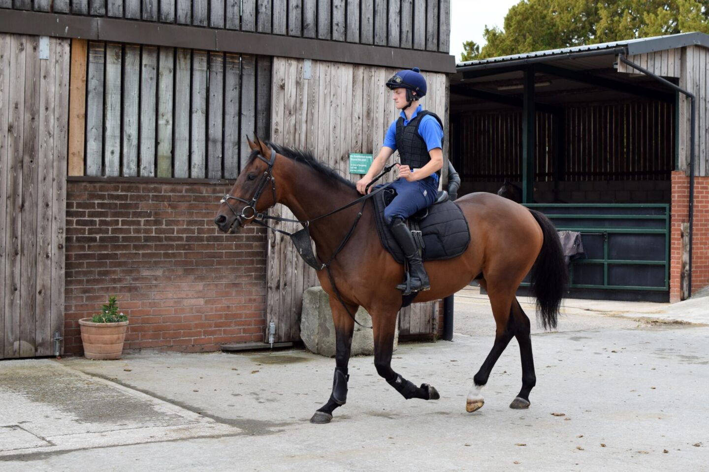 Meeting the racehorses ahead of National Racehorse Week