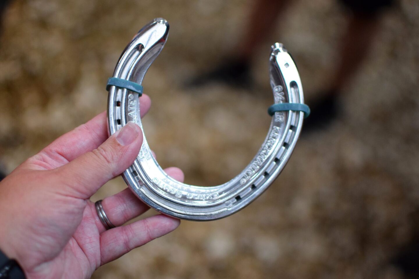 Racing shoes for racehorse