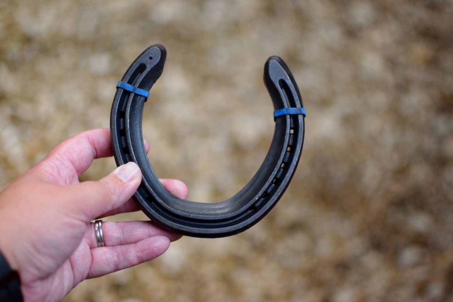 Normal every day training shoes for racehorse
