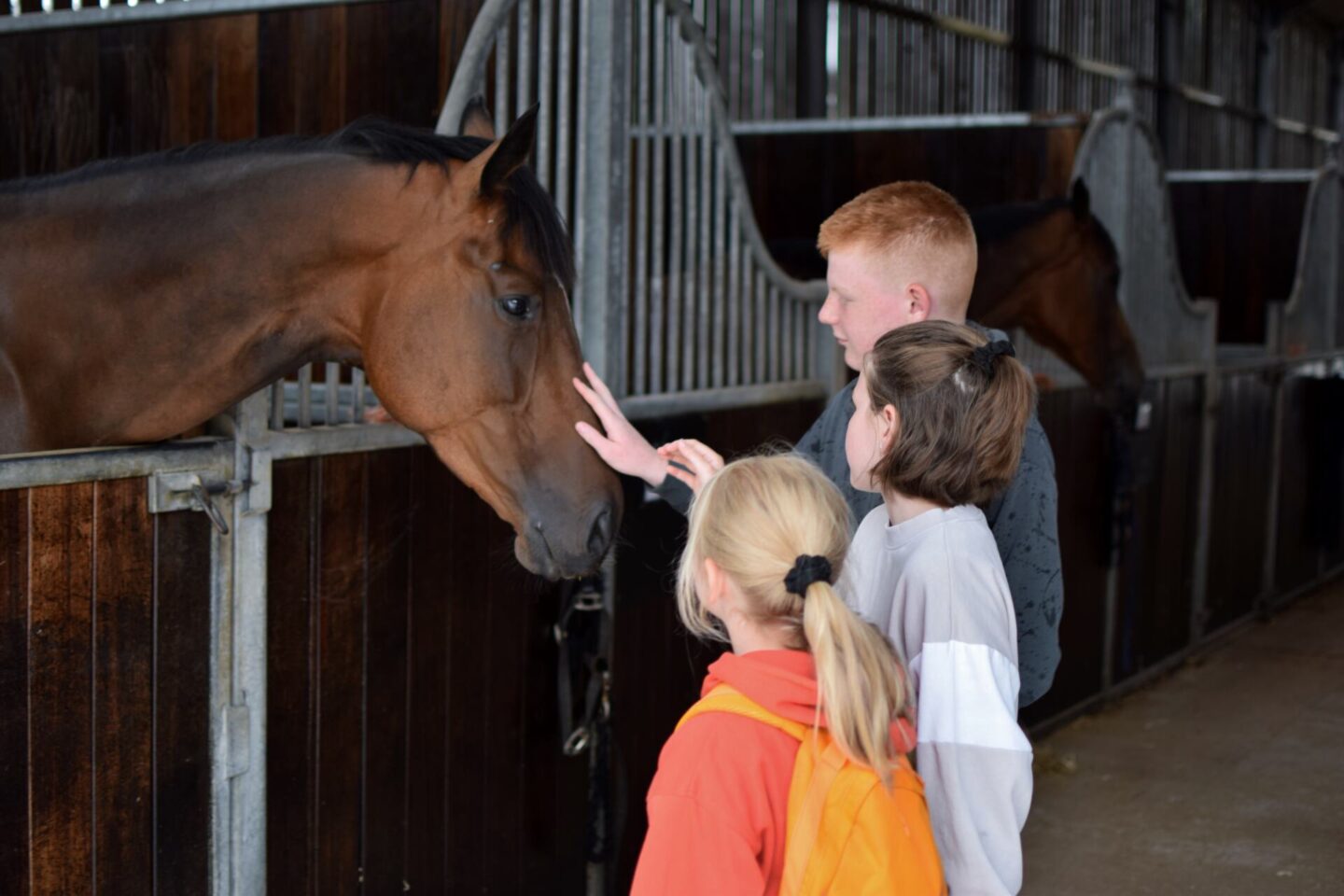 Children meeting racehorses at Greenall Guerriero Racing