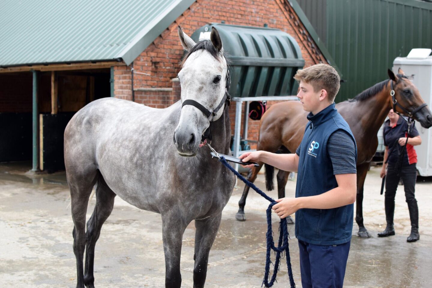 Racehorses at Greenall Guerriero Racing