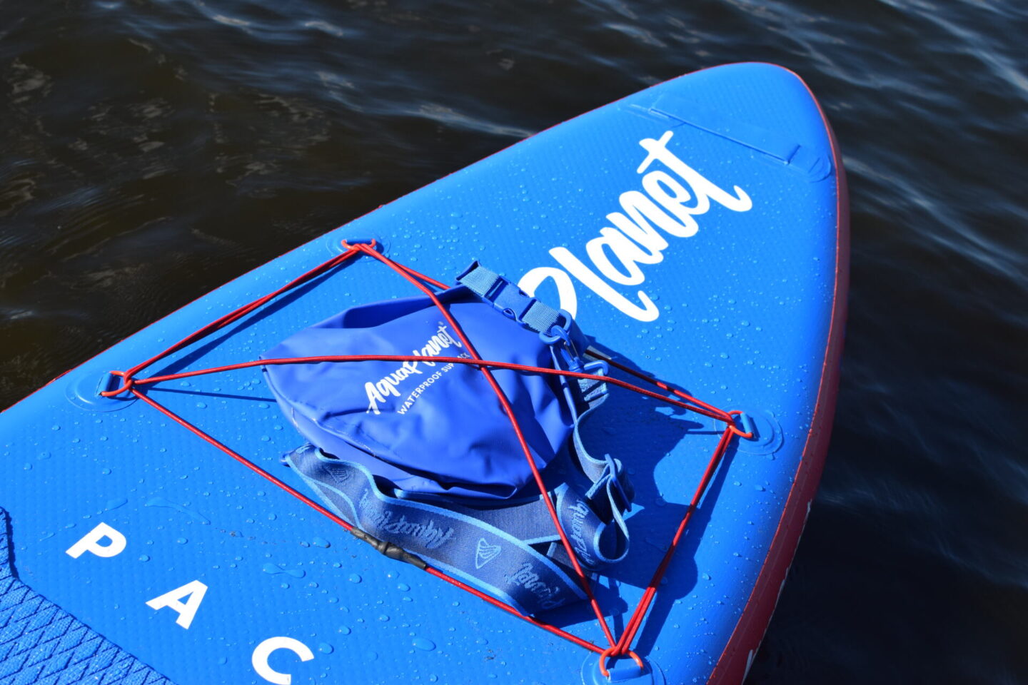 Aquaplanet PACE board - bungee cords to keep everything secure.