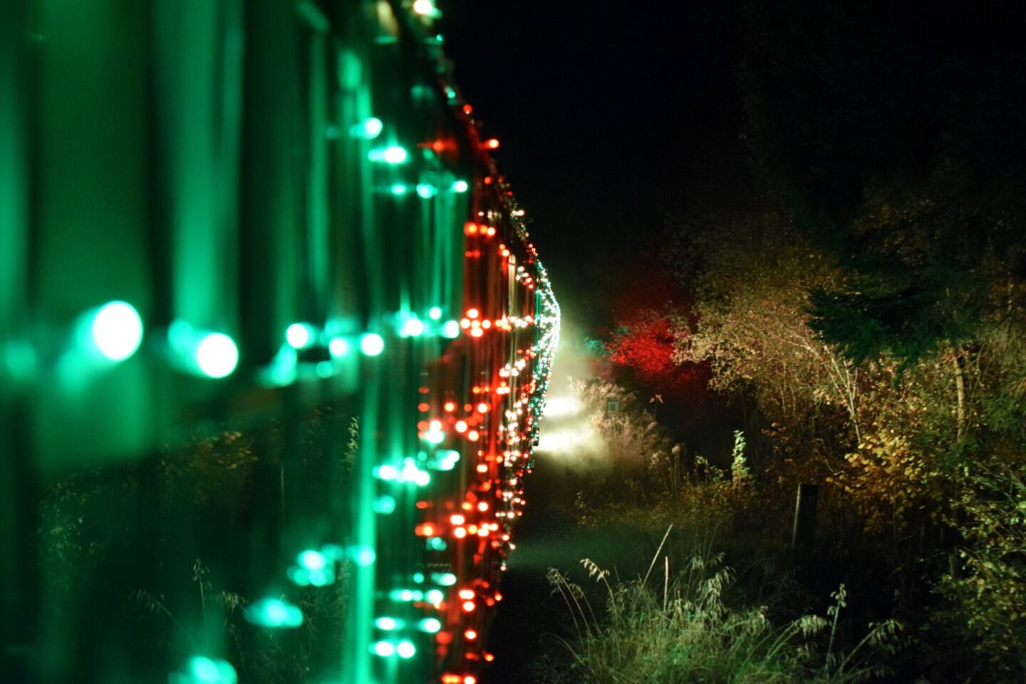 The NYMR Light Spectacular lighting up the forest and hedgerows