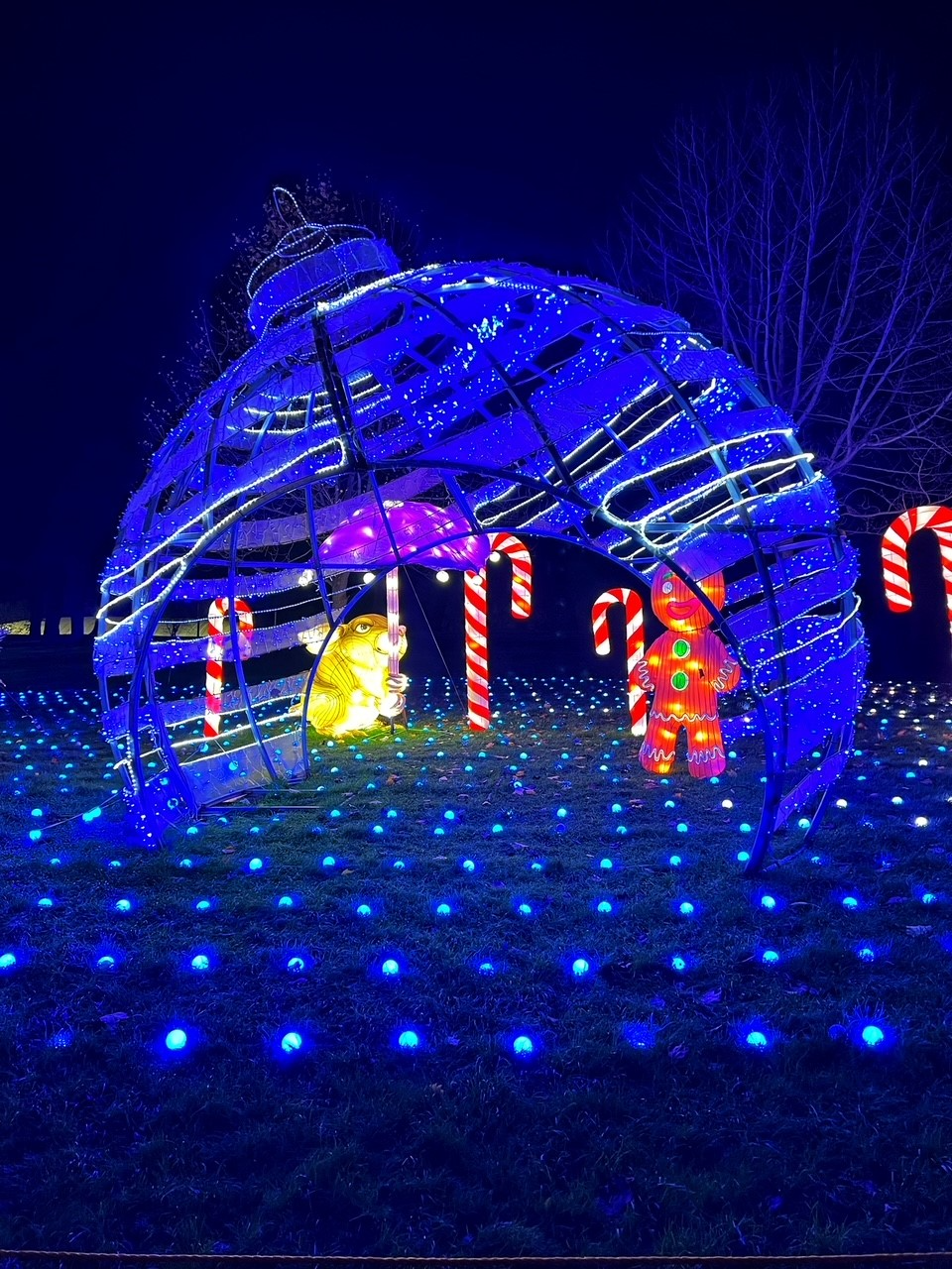 Festive light trail at Crystal Palace Park