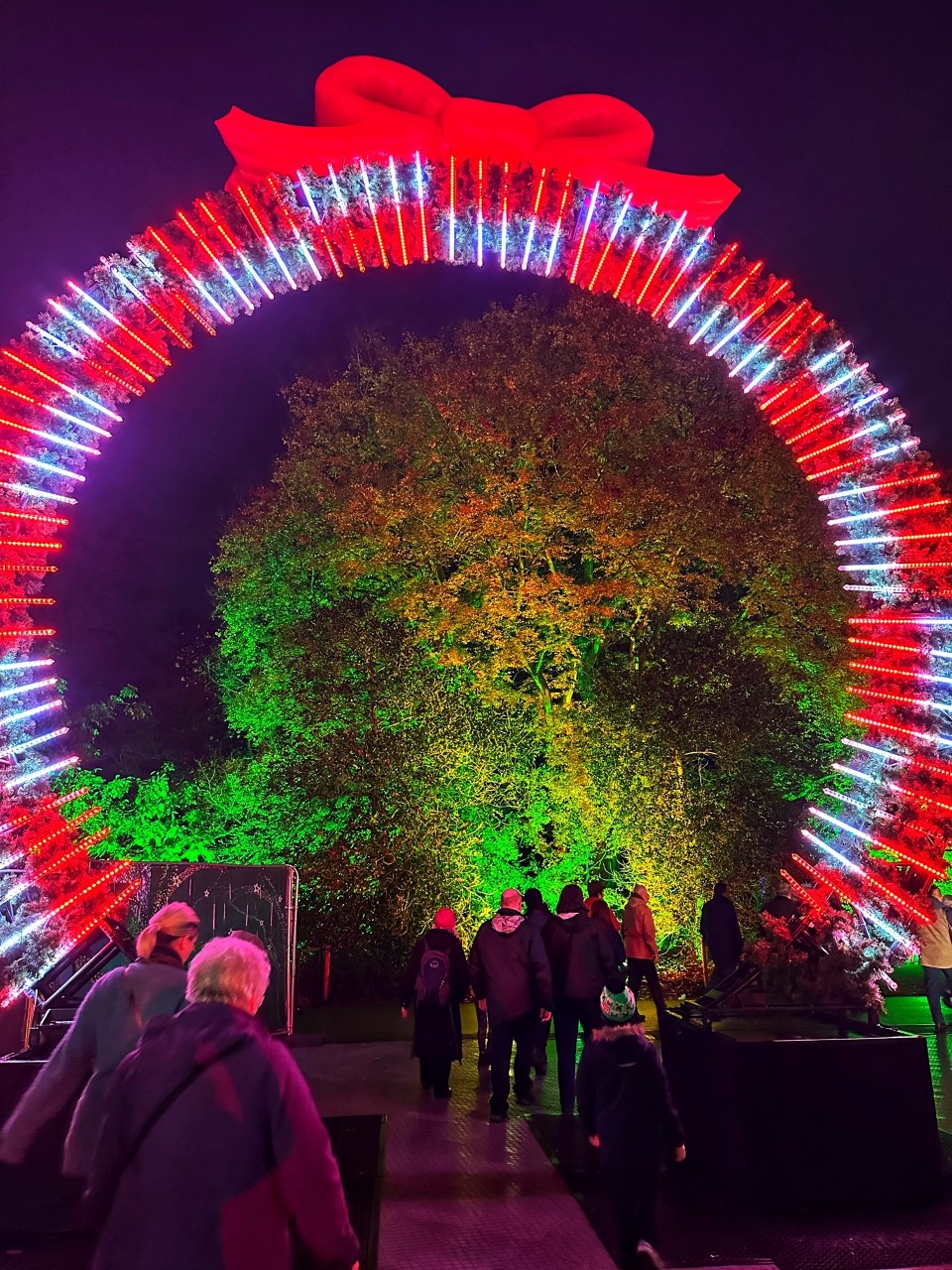 Festive light installations at Kew this Christmas