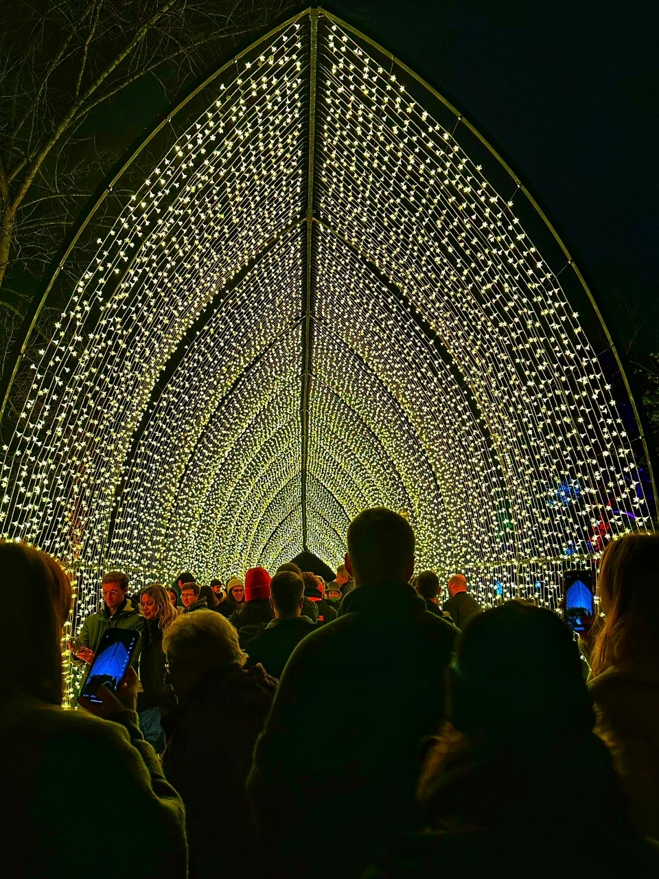Light tunnel at Kew Gardens