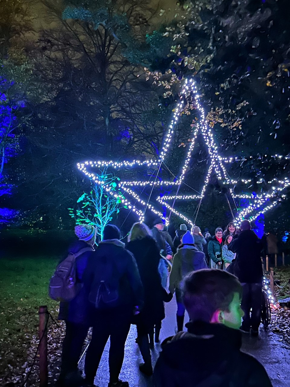 There are plenty of photo opportunities on the festive light trail at Kew Gardens.