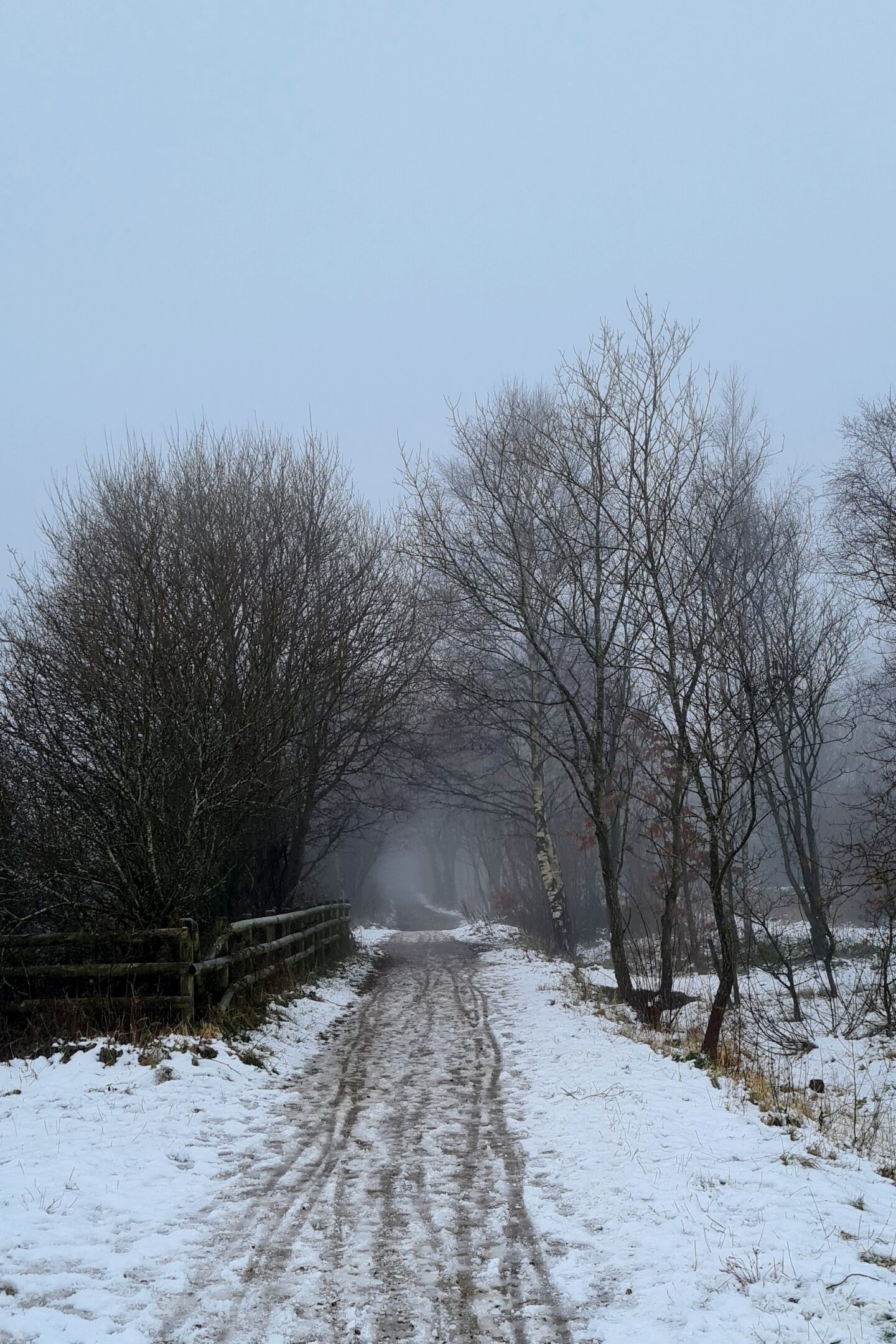 Snowy. foggy path through the woods - winter walks with kids