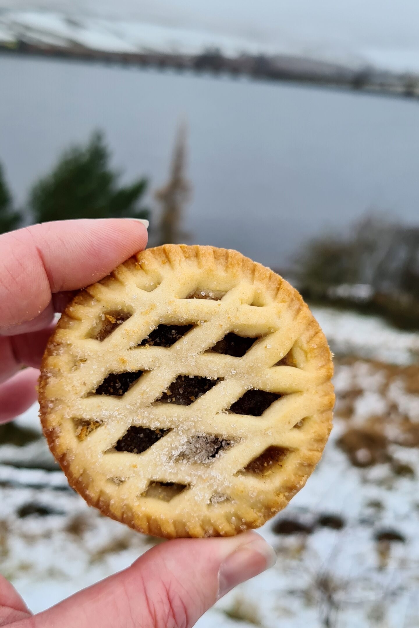 A mince pie makes a great treat on a winter walk! (This one was partially frozen when we went to eat it though!)