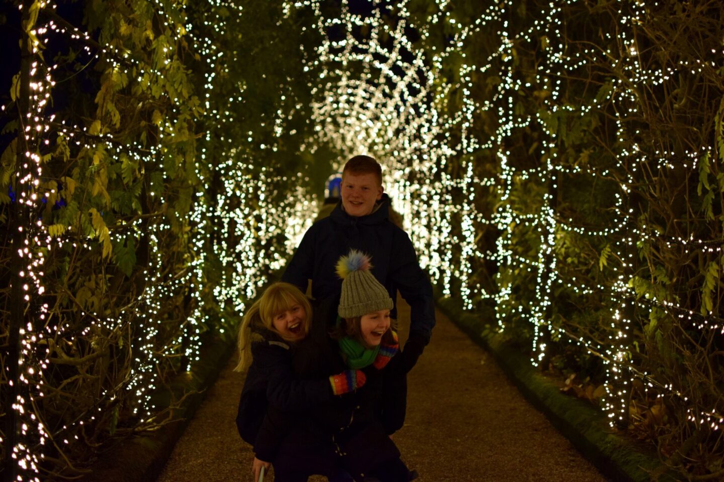 Light tunnel at Christmas at Trentham 2022