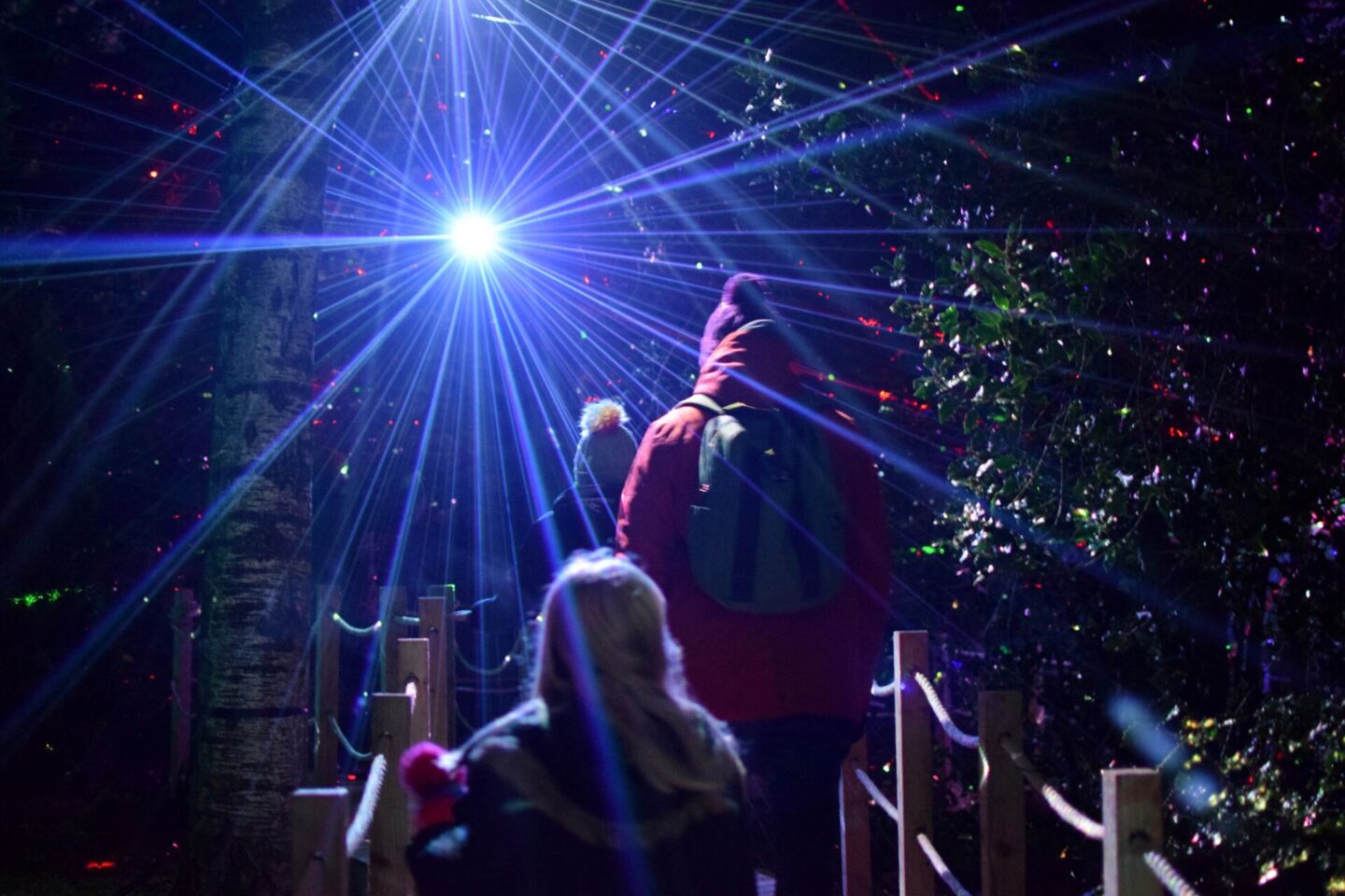 Laser forest at Trentham Gardens