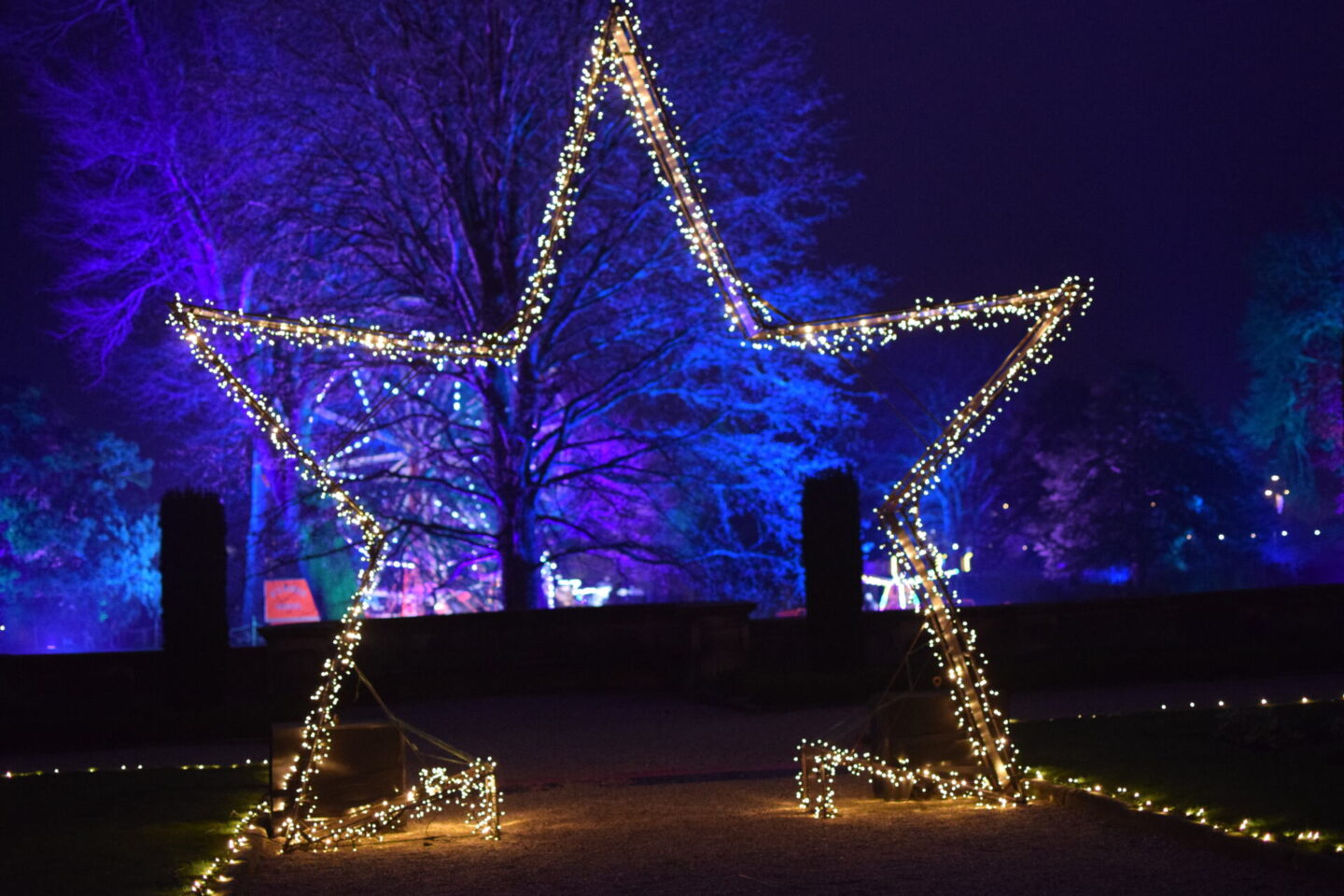 Light installations at Trentham Christmas Lights
