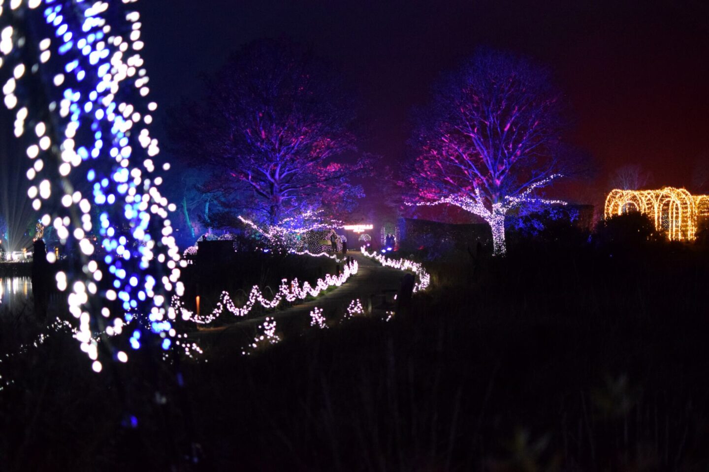 Christmas at Trentham - an immersive, multisensory Christmas trail
