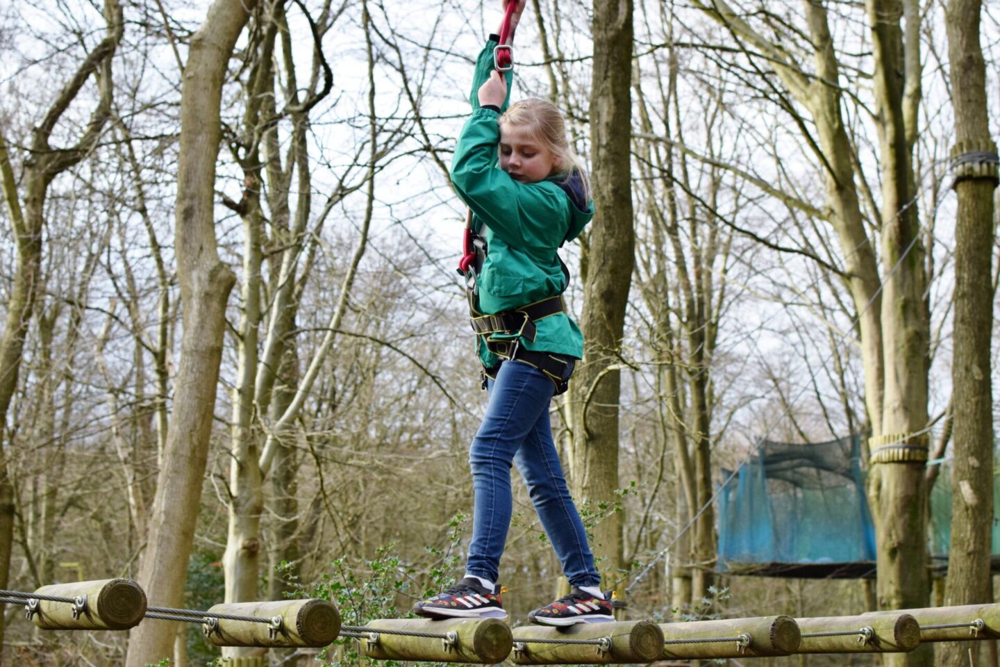 Treetop Trek - Mini Trek at Heaton Park