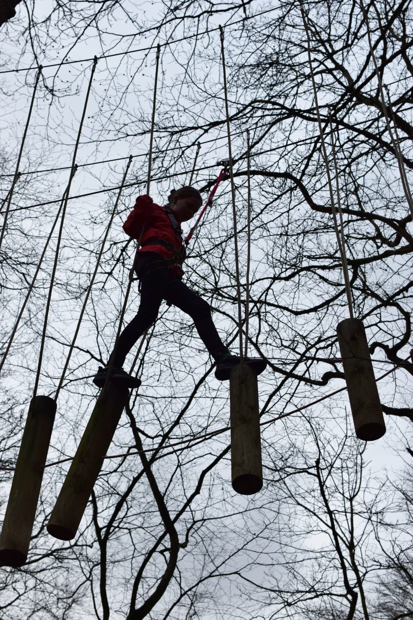 Chloe is high up in the air on log stepping stones at TreeTop Manchester