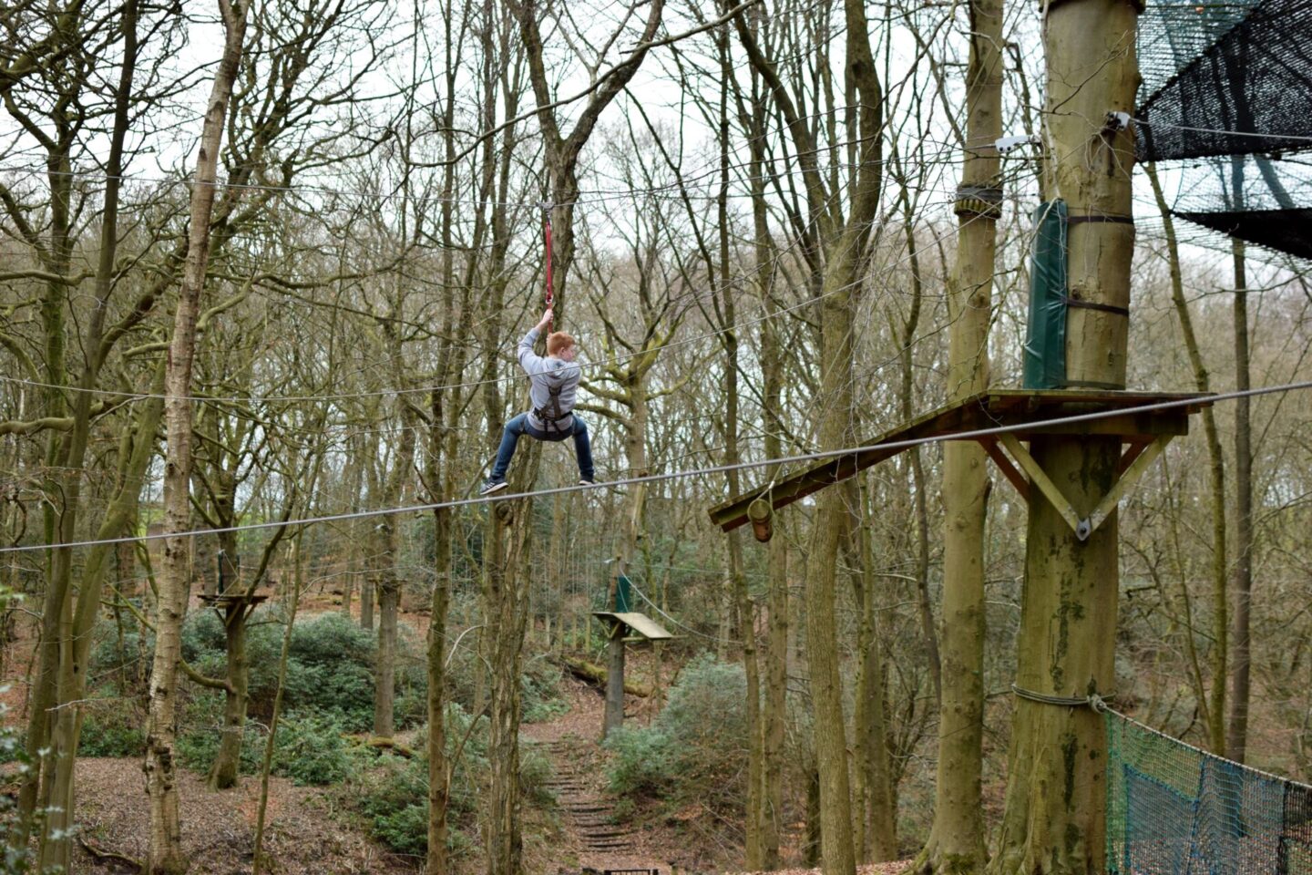 One of the biggest zipwires at TreeTop Manchester spans a small valley