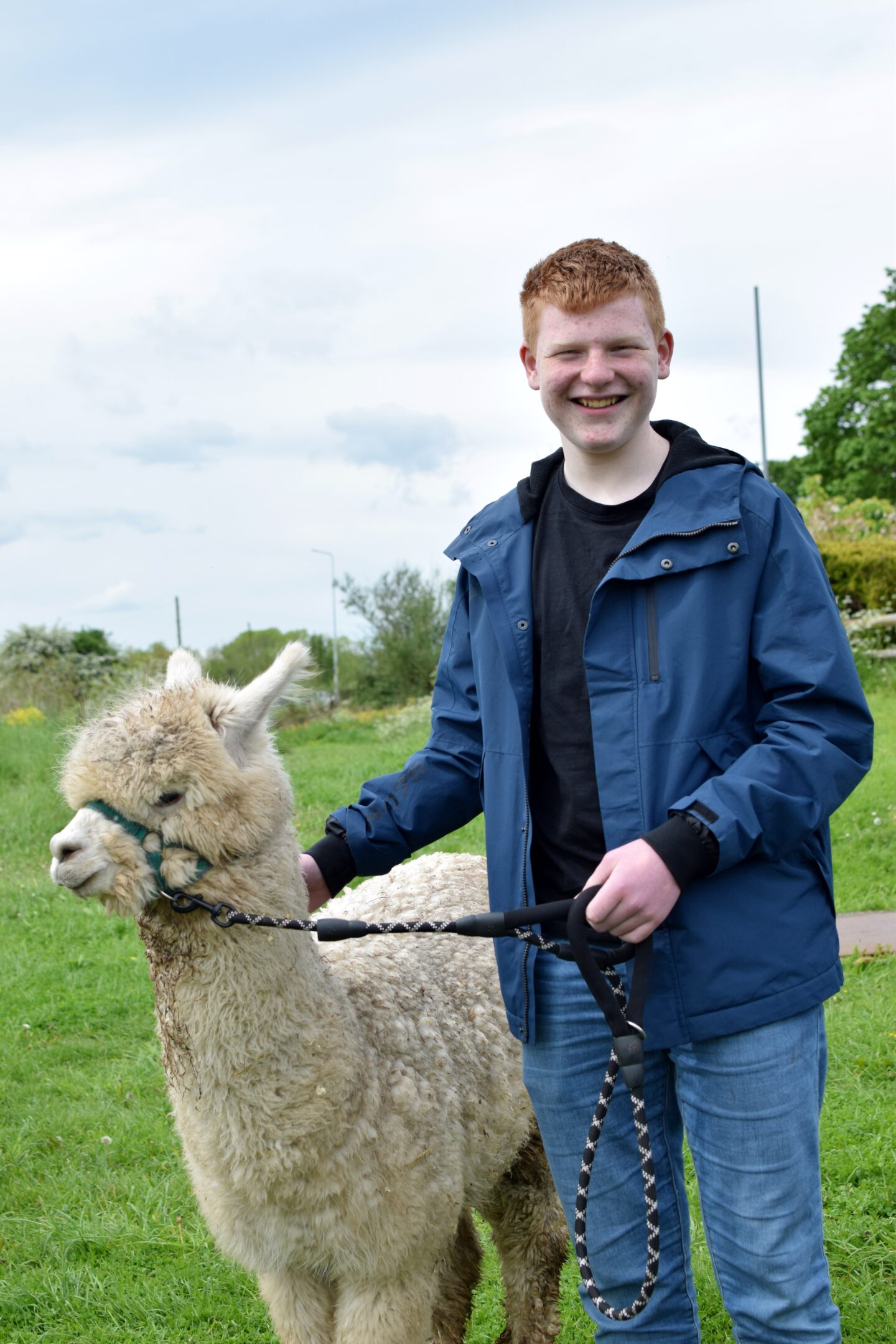 Ben and Snowy the alpaca