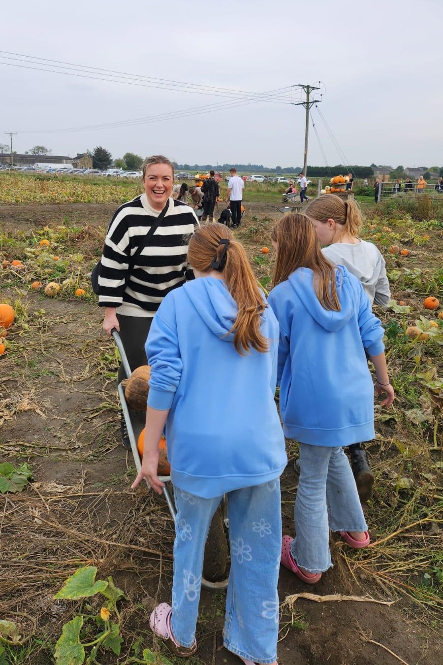 Pumpkin picking with kids at Bert's barrow near Leeds
