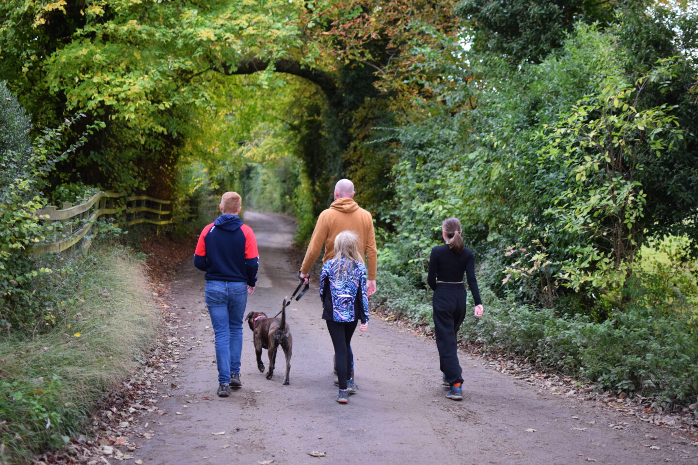 autumn walks with kids - alresford