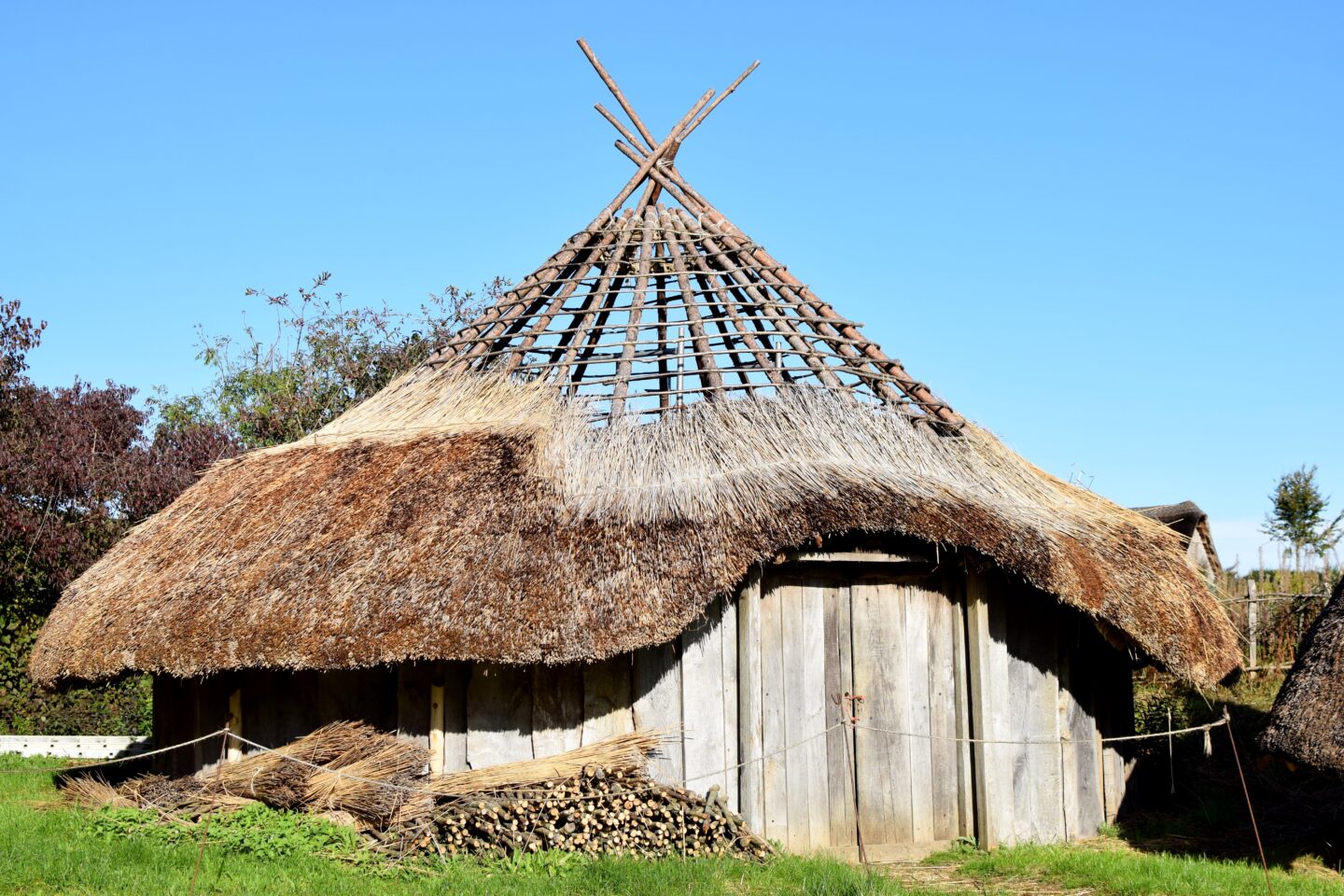 Butser Ancient Farm - part of a thatched roof exposed to show the structure